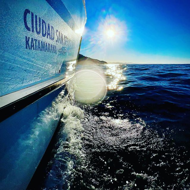 San Sebastian: Sustainable Catamaran Cruise with Audio Guide - Audio on your phone: how the guide actually works