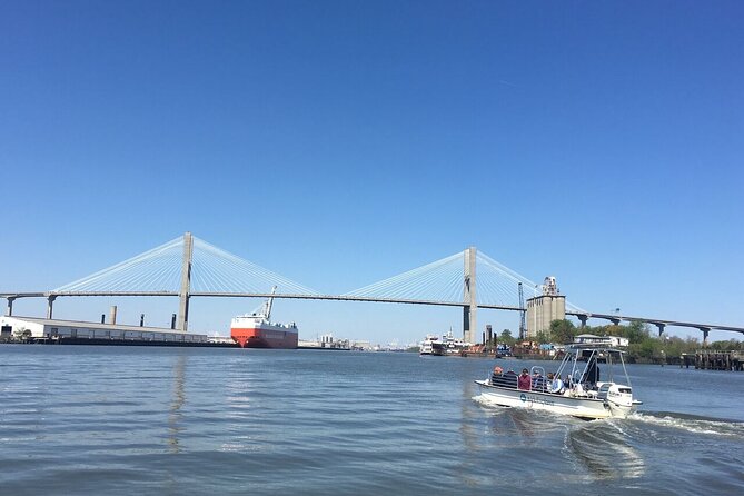 Savannah Coastal Dolphin Eco Tour - Key Things That Make This Tour Work