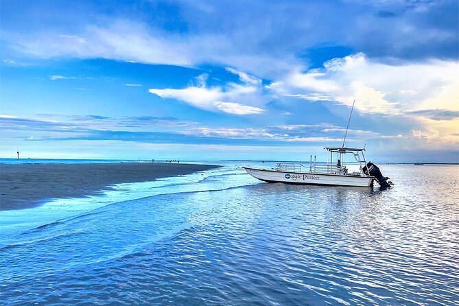 Savannah Coastal Dolphin Eco Tour - Atlantic Intracoastal Waterway Views and the Old Fort Jackson Moment