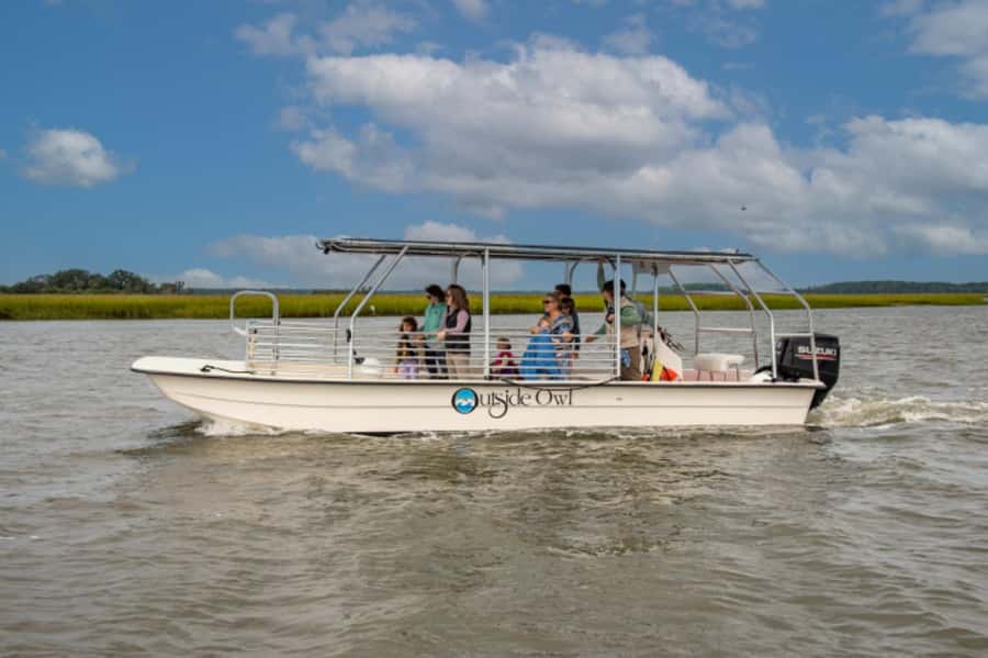 Savannah: Dolphin Spotting Eco Tour with Experienced Captain - Key Highlights You’ll Actually Care About