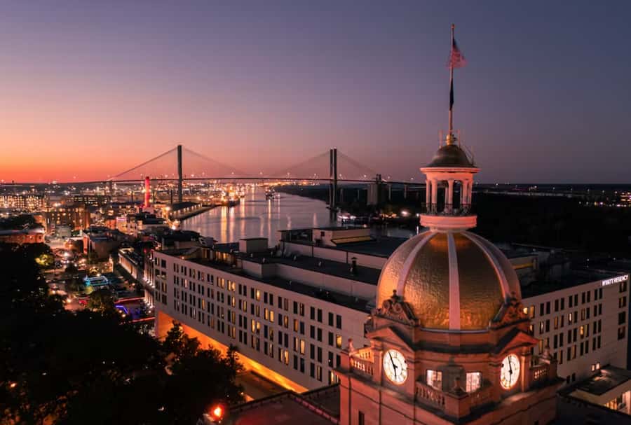 Savannah: Sunset Dolphin Watching Eco Tour by Boat - Key things to know before you go