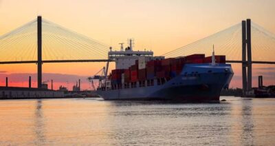 Savannah: Sunset Dolphin Watching Eco Tour by Boat - Dolphins, birds, and the Lowcountry ecosystem while you sail