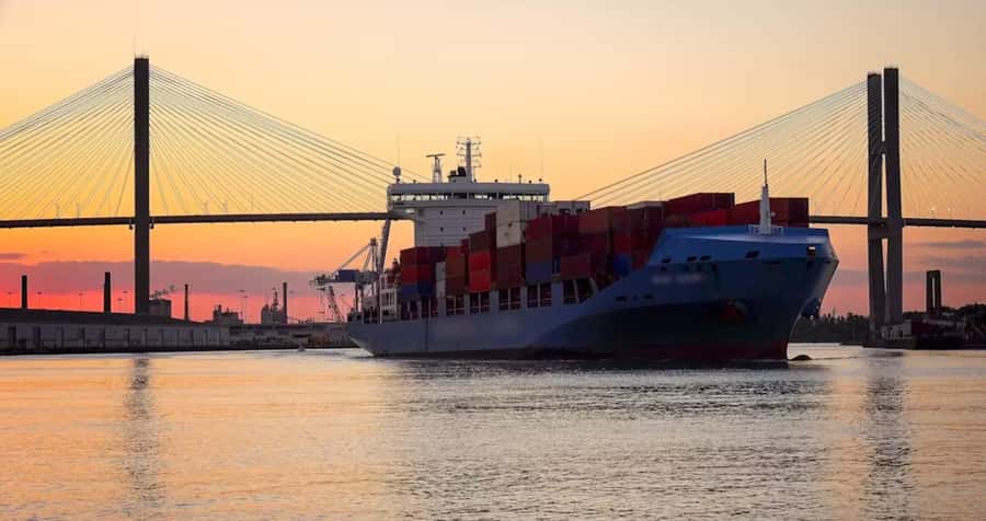 Savannah: Sunset Dolphin Watching Eco Tour by Boat - Dolphins, birds, and the Lowcountry ecosystem while you sail