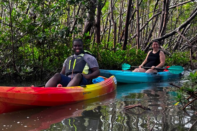 Self Guided EcoTour: Clear/Standard Kayaks -Bonita Springs - Key Things I Think You’ll Notice Right Away