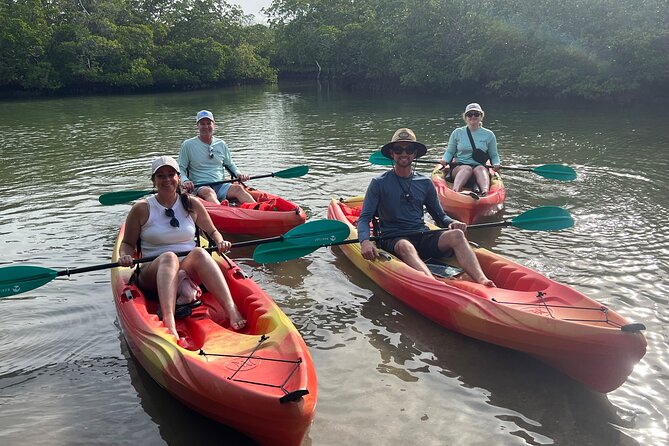 Self Guided EcoTour: Clear/Standard Kayaks -Bonita Springs - Self-Guided Kayaking in Bonita Springs: The Point of the Trip