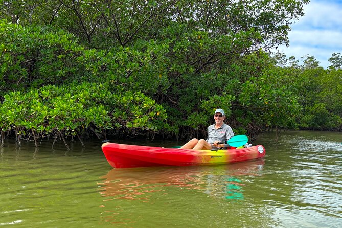 Self Guided EcoTour: Clear/Standard Kayaks -Bonita Springs - Following the Route Map: Mangrove Tunnels, Wildlife, Beach Time, Shelling, Fishing
