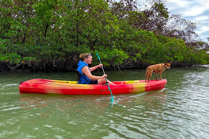 Self Guided EcoTour: Clear/Standard Kayaks -Bonita Springs - What the 2-Hour Trip Feels Like (and How to Use the Time)