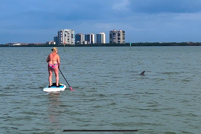 Self Guided Standup Paddle Board EcoTour -Bonita Springs - Why Bonita Springs Mangroves Feel Made for SUP