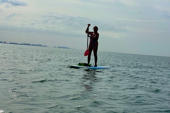 Self Guided Standup Paddle Board EcoTour -Bonita Springs - How Organized It Feels When You’re Actually On the Water