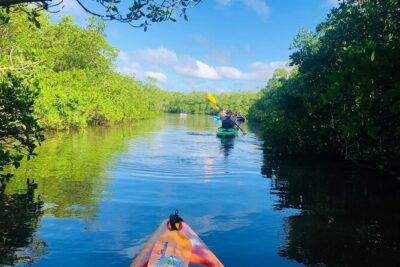 Siesta Key Guided Eco Tour - Single or tandem kayak: why the choice matters
