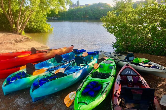 Siesta Key Guided Eco Tour - Why this costs $59—and when it feels like a smart value