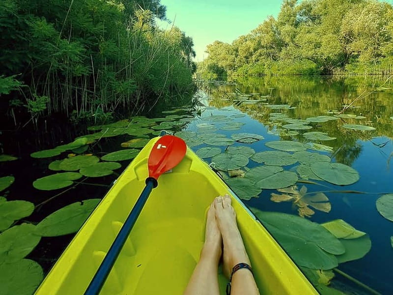 Skadar Lake National Park: Eco-friendly Kayak Adventure - Key highlights worth planning around