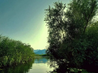 Skadar Lake National Park: Eco-friendly Kayak Adventure - The 1-hour kayak route: what you’ll likely see and what to expect