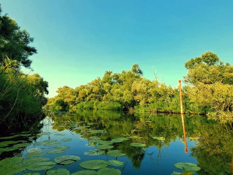 Skadar Lake National Park: Eco-friendly Kayak Adventure - The swim stop: refreshing water, plus a few safety rules