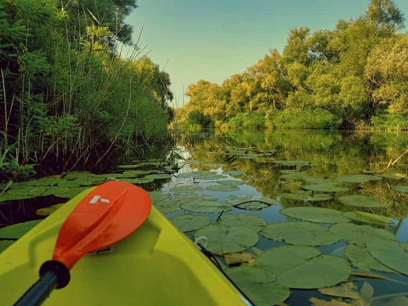 Skadar Lake National Park: Eco-friendly Kayak Adventure - Price and value: why $14 for an hour can feel like a steal