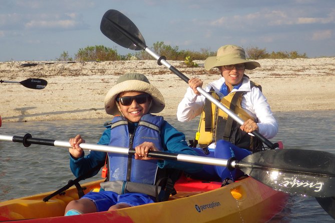 Small Group Boat, Kayak and Walking Guided Eco Tour Everglades - Key highlights at a glance