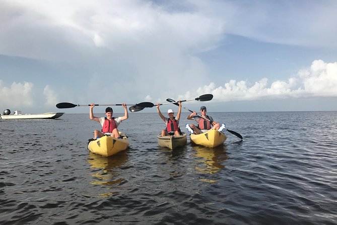 Small Group Boat, Kayak and Walking Guided Eco Tour Everglades - Why this Everglades tour works: three modes of travel in 3.5 hours