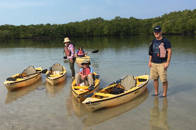 Small Group Boat, Kayak and Walking Guided Eco Tour Everglades - Wildlife odds: what you should plan for (and what’s not guaranteed)