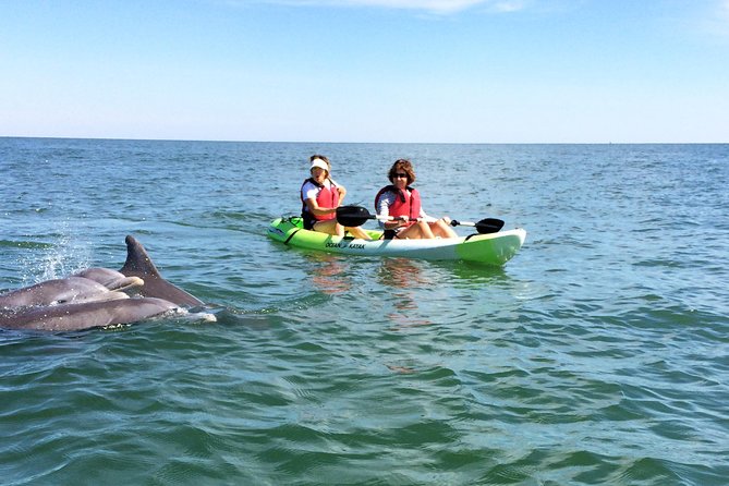 Small Group Dolphin Kayak Eco-Tour - Key highlights at a glance