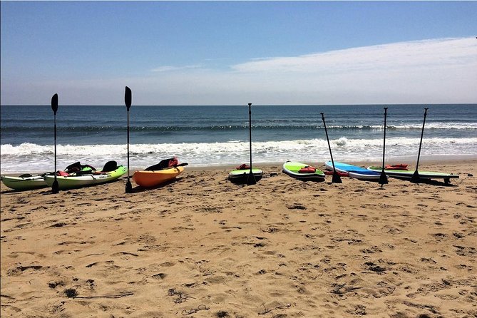 Small Group Dolphin Kayak Eco-Tour - North End Beach Start: Stable Kayaks and Easy Instruction