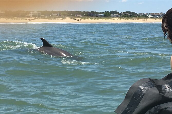 Small Group Dolphin Kayak Eco-Tour - Guides Make the Difference: Patience, History, and Real Help