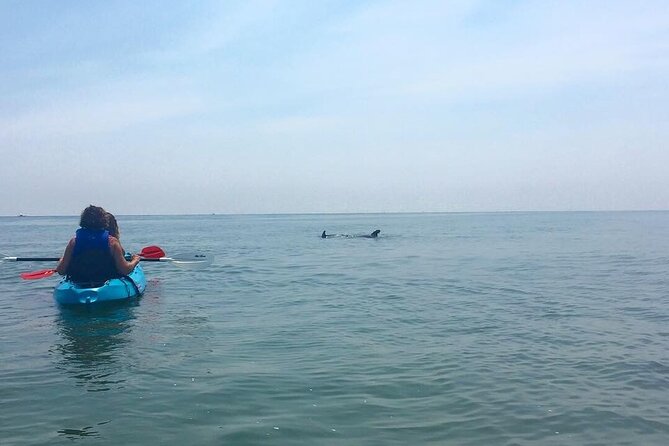 Small Group Dolphin Kayak Eco-Tour - When Weather Changes the Plan (And How to Handle It)