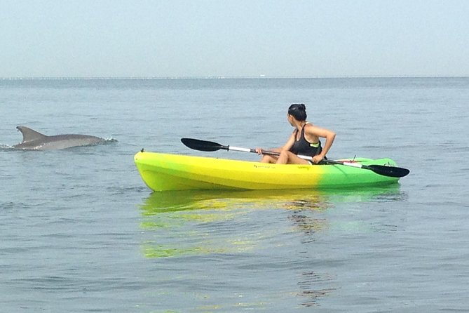 Small Group Dolphin Kayak Eco-Tour - The Main Event: Kayak Dolphin Habitat Toward Cape Henry Lighthouses