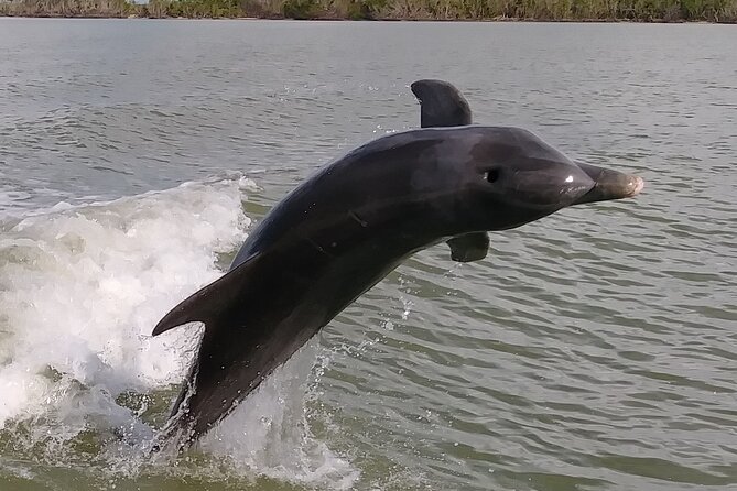 Small-Group Everglades Boating Kayaking and Walking Eco Tour - Why This Everglades Tour Feels Different Than Airboat Country