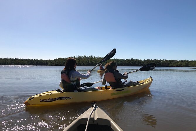Small-Group Everglades Boating Kayaking and Walking Eco Tour - Stop 1: Everglades National Park Boating Time (And How Dolphins Fit In)