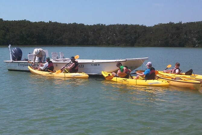 Small-Group Everglades Boating Kayaking and Walking Eco Tour - Price and Value: What $199.95 Buys You Here