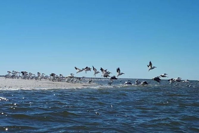 Small Group Motorboat Eco Tour of the Everglades - What happens once you’re in Everglades National Park