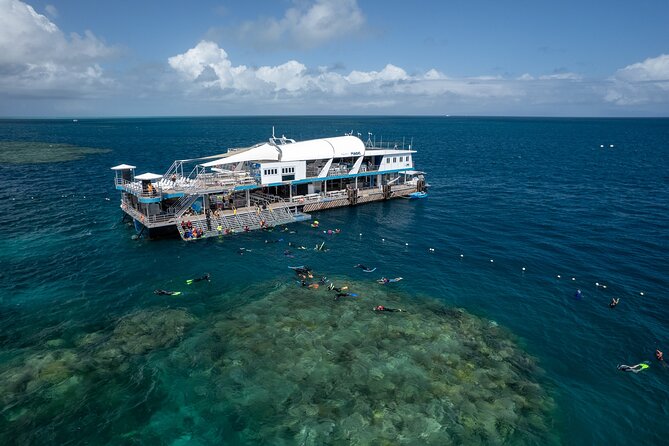 Snorkel & Dive the Reef: Sustainable, Scientific & Cultural Tour - Key things that make this Reef day work