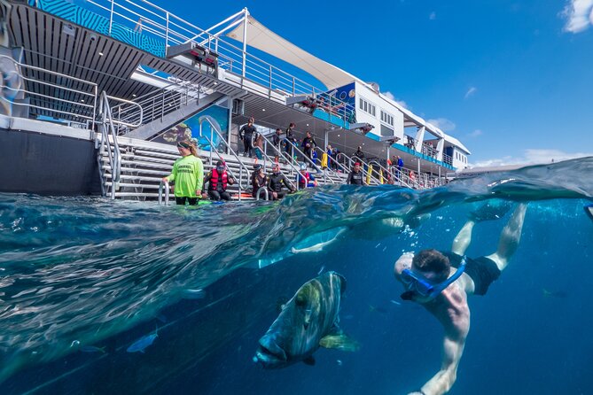 Snorkel & Dive the Reef: Sustainable, Scientific & Cultural Tour - Marine World Platform: the all-day base for snorkeling and dry viewing