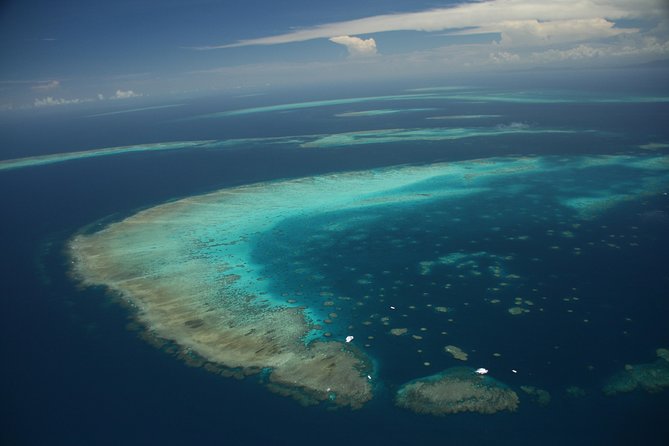 Snorkel & Dive the Reef: Sustainable, Scientific & Cultural Tour - Marine biologists and cultural context: what you’ll learn beyond the pretty colors