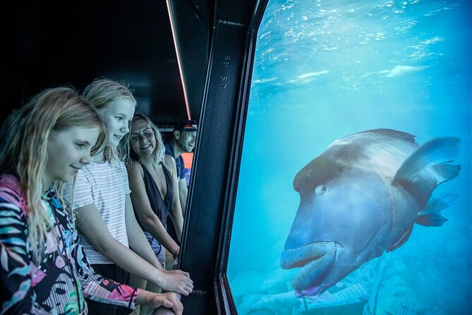 Snorkel & Dive the Reef: Sustainable, Scientific & Cultural Tour - Add-ons, upgrades, and that sales-push question