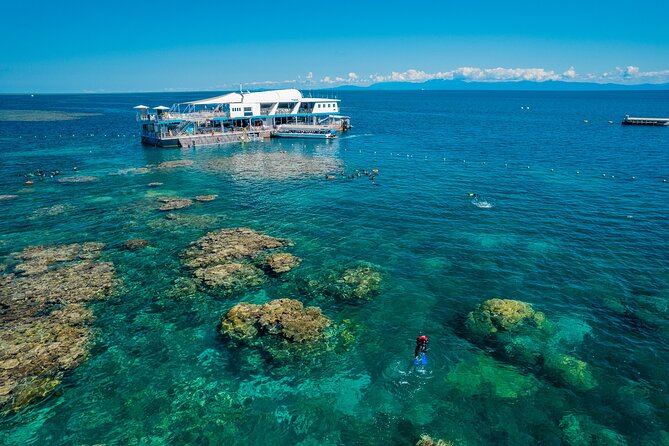 Snorkel & Dive the Reef: Sustainable, Scientific & Cultural Tour - Snorkeling the coral lagoon: gear, guidance, and what to expect in the water