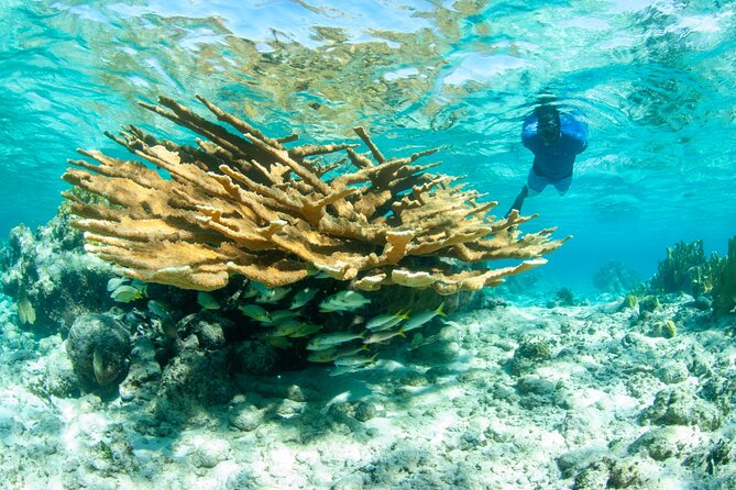 Snorkel Eco Tour - Getting Checked In at Big Blue Collective (and Why It Matters)