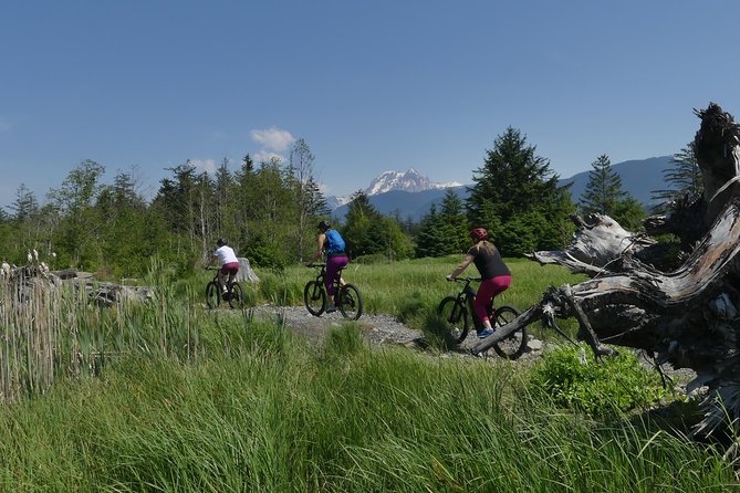 Squamish Discovery Eco-tour - Squamish by E-bike: Small Group, Low Effort, Real Nature