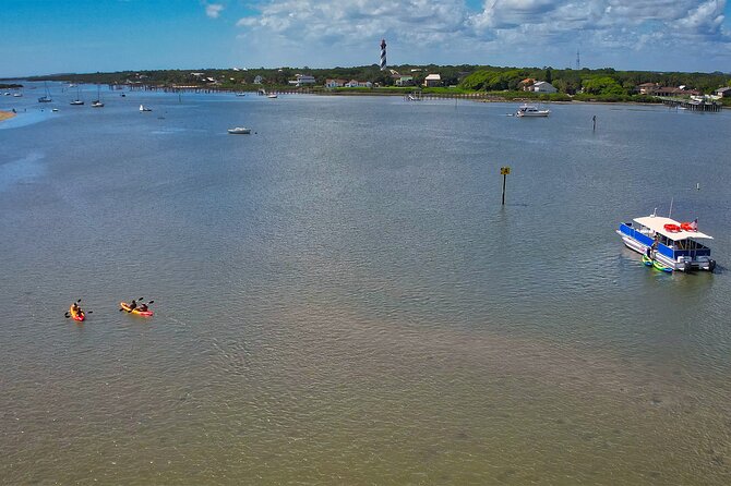 St. Augustine Wildlife Adventure: Boat Cruise & Kayak Eco Tour - What the guides do well (Kevin and James set the tone)