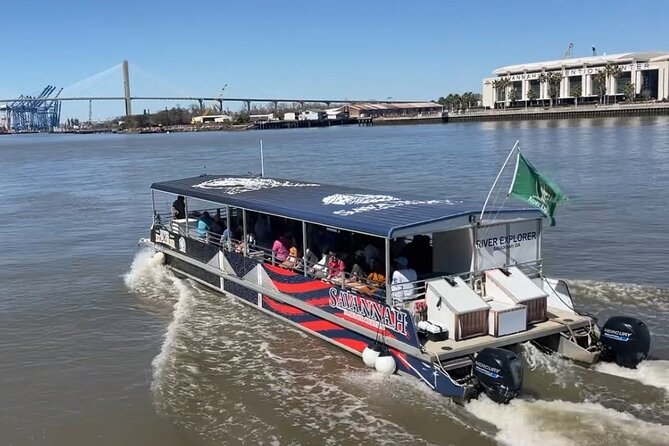Sunset Dolphin Eco Tour - Key things to know before you go