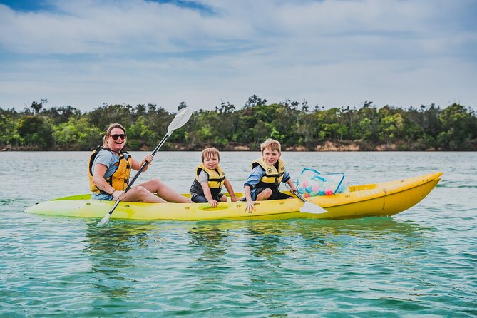 Sunset Kayak Eco Tour with Marine Scientist - Quick hits on this Boambee Creek sunset kayak