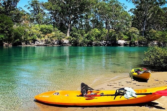 Sunset Kayak Eco Tour with Marine Scientist - Meet Matt and the Marine Scientist: How the Trip Is Guided