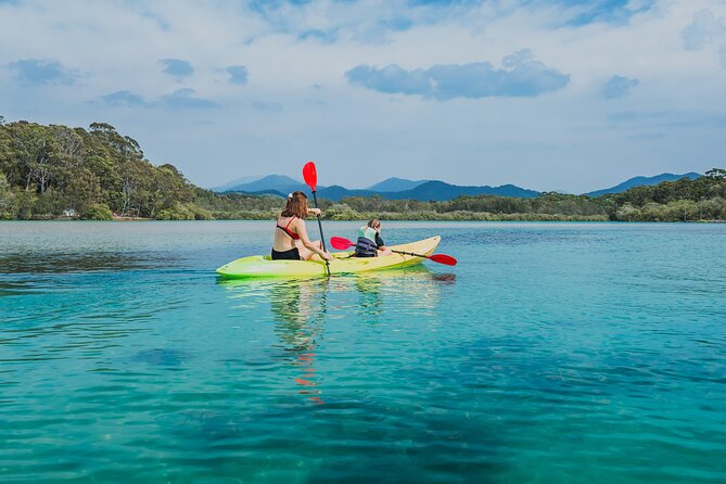 Sunset Kayak Eco Tour with Marine Scientist - Paddling Through Boambee Creek at Sunset (Beginner Friendly)