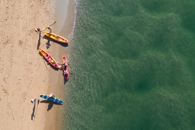 Sunset Kayak Eco Tour with Marine Scientist - Yabbying and Hermit Crabs: The Hands-On Moment Kids Love