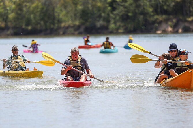 Sunset Kayak Eco Tour with Marine Scientist - What the Trip Feels Like: Relaxing, Fun, and Not Overly Technical