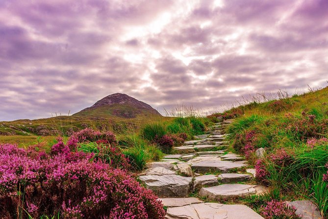 Sustainable Connemara and Galway Bay Rail Tour from Dublin - The Connemara Details You’ll Actually Notice: Maam Cross, Clifden, and the Gaeltacht