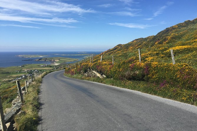 Sustainable Connemara and Galway Bay Rail Tour from Dublin - Return to Dublin on Train: Evening Momentum After Connemara