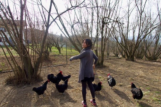 Sustainable Farm Tour & Northern Italian Cooking Class in Asti - Language, Style, and How the Class Feels in Real Life