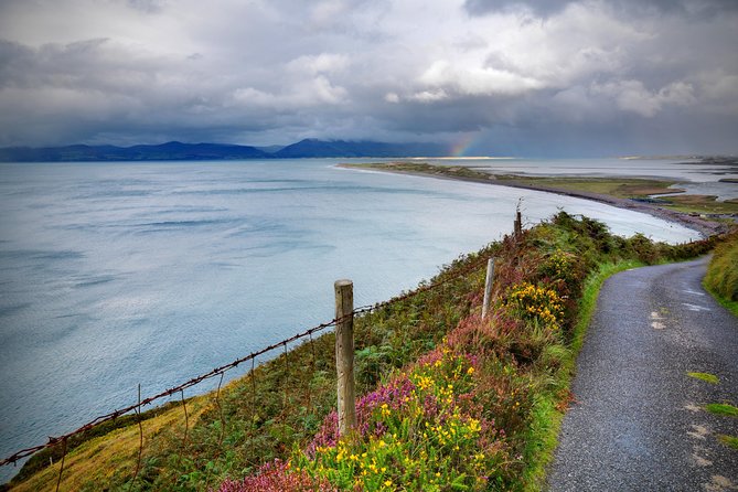 Sustainable Ring of Kerry Rail Tour from Dublin - Quick take: what makes this tour work