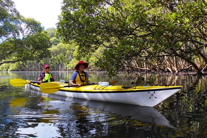 Sydney's Middle Harbour Sea Kayaking Eco Tour (Fully Guided) - Launch Point at Smith’s Boat Shed: Getting There Without Stress